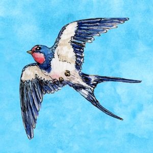 Meet your Posher, Chantelle